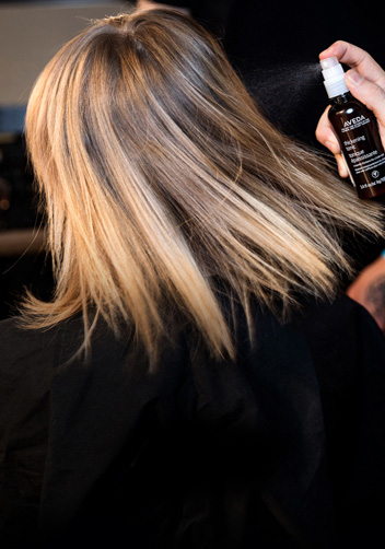 Aveda Salon Options
