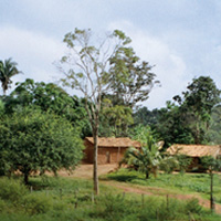 Environmental Restoration - Aveda