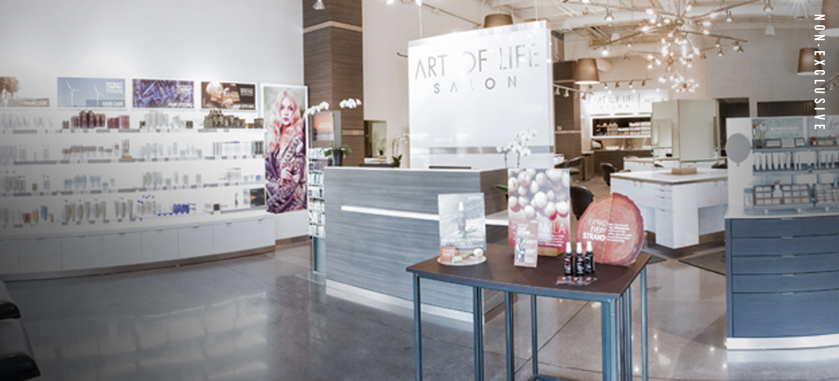 Art of Life Salon, Urbandale, IA