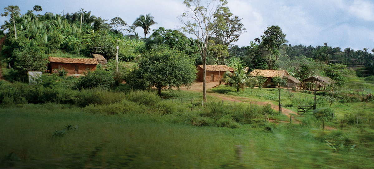 Environmental Restoration - Aveda