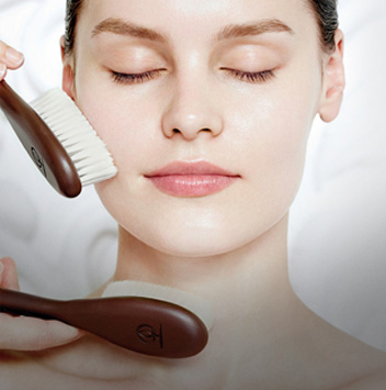 Professional Spa - Aveda